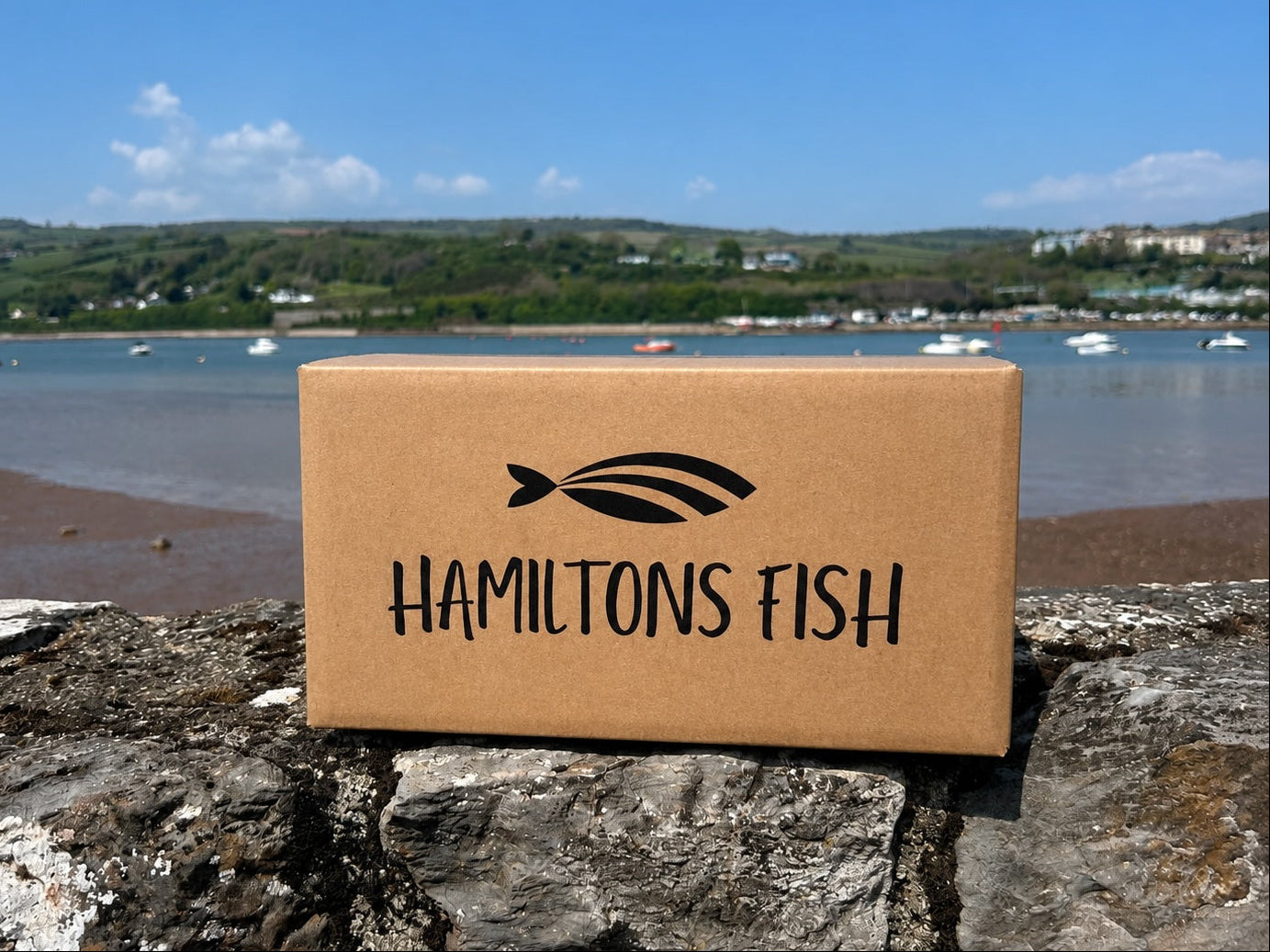 Cardboard box with 'Hamiltons Fish' logo on a stone wall by a waterfront