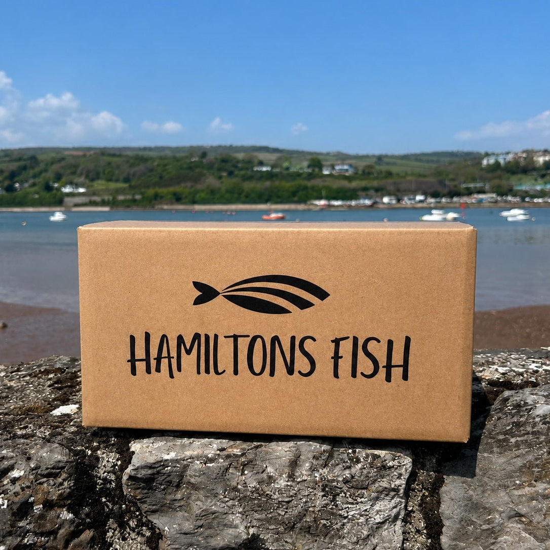 Cardboard box with 'Hamiltons Fish' logo on a stone wall by a waterfront