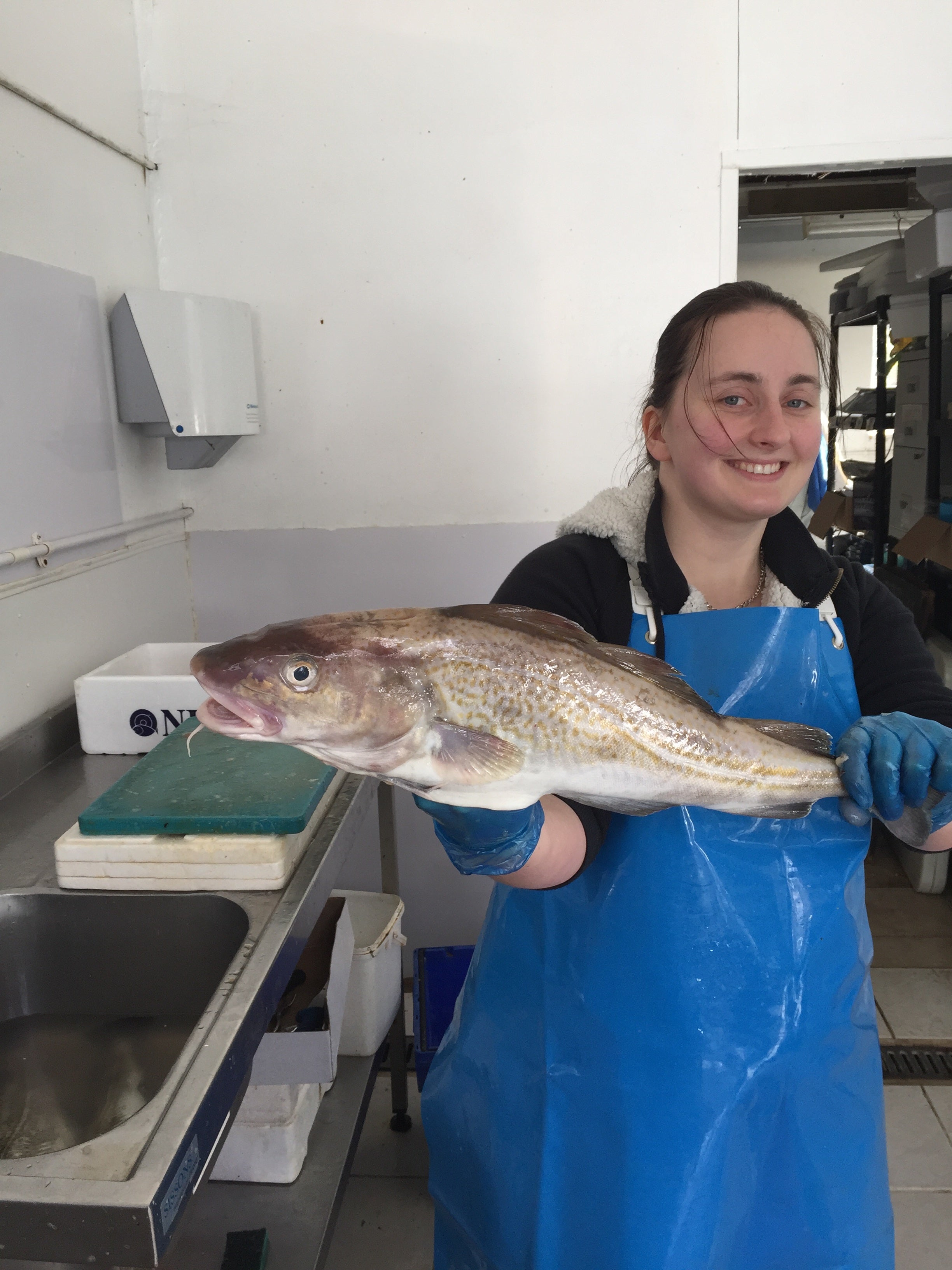 Laura from hamiltons fish holding a large whole cod