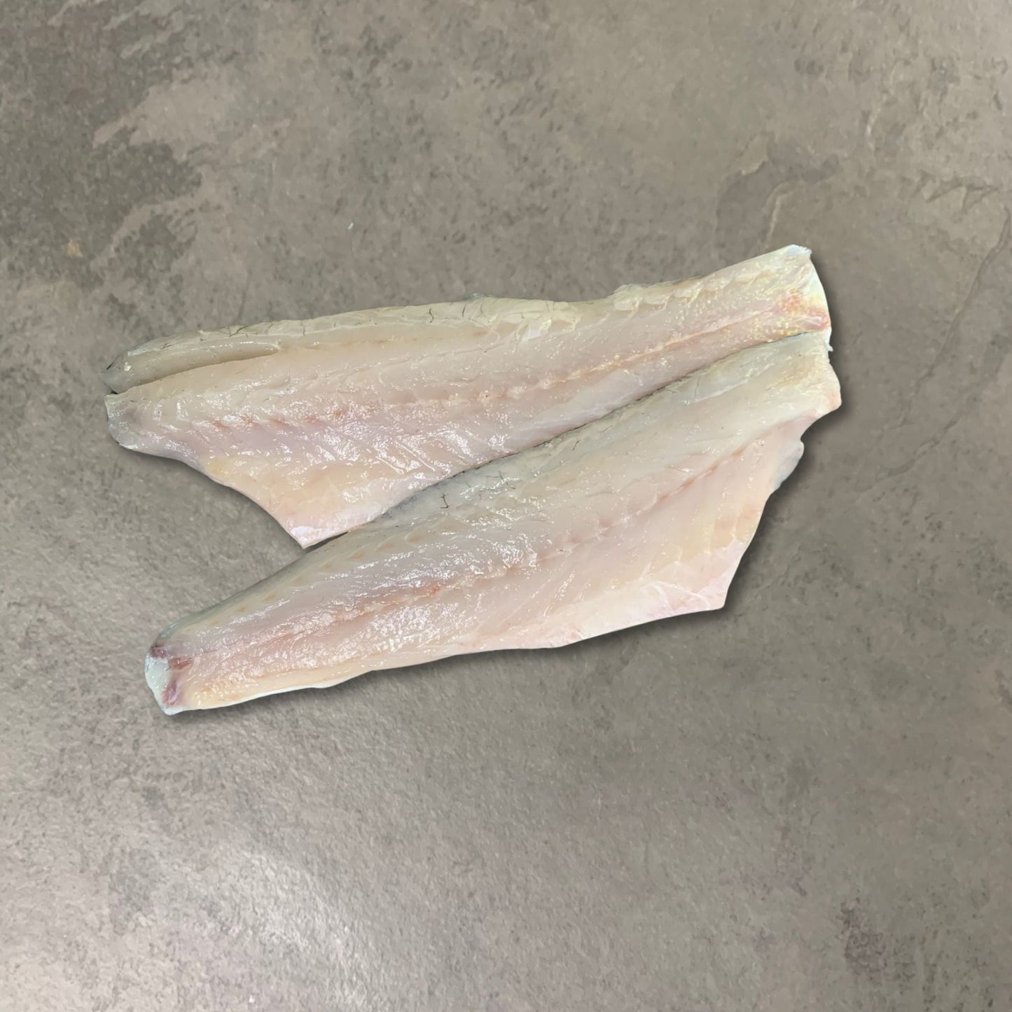 Farmed Seabass on a slate background, from Hamiltons Fish