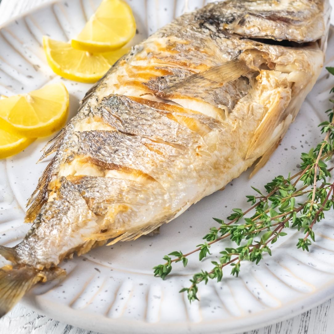 Farmed Seabream on a slate background, from Hamiltons Fish