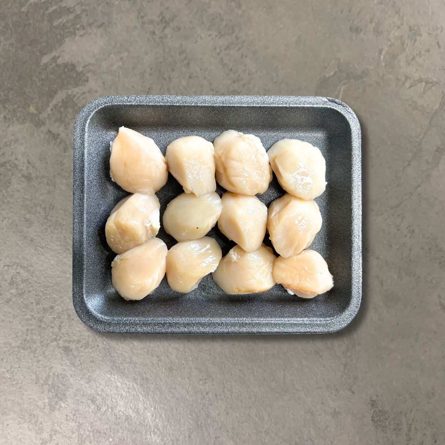 Fresh Scallops on a slate background, from Hamiltons Fish