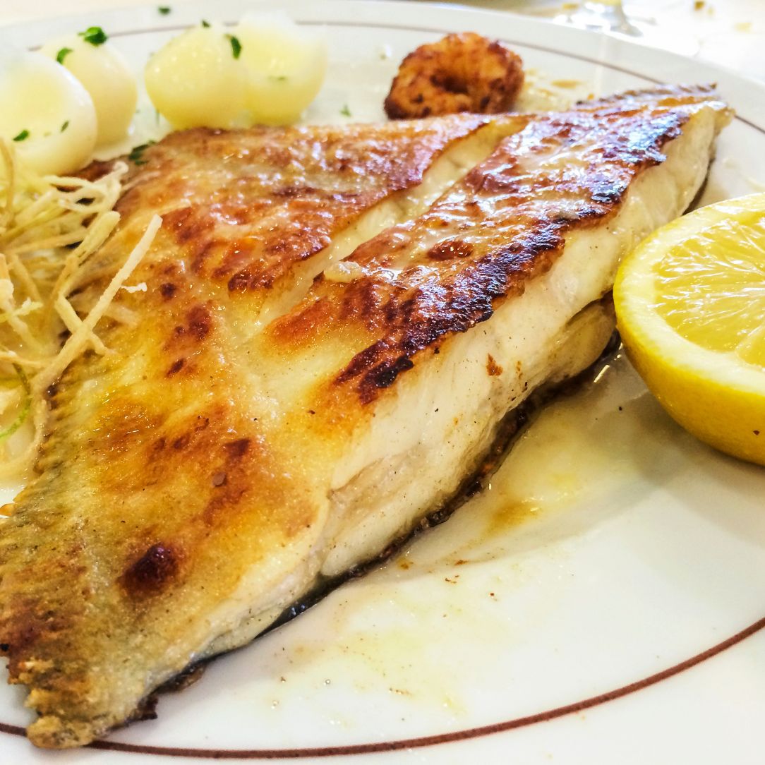 Wild Brill on a slate background, from Hamiltons Fish