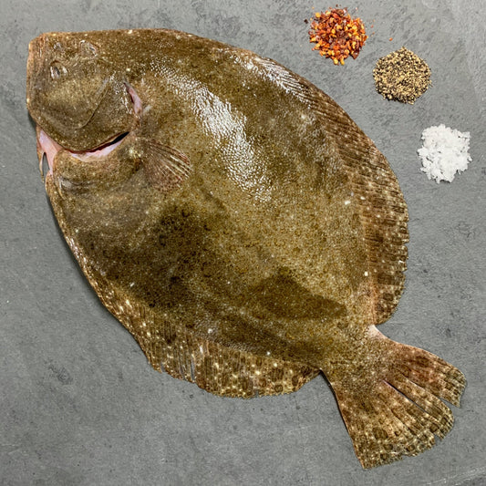 Wild Brill on a slate background, from Hamiltons Fish