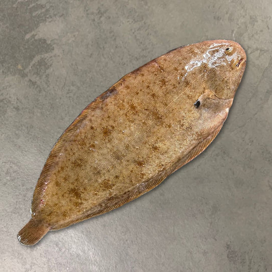 Wild Dover Sole on a slate background, from Hamiltons Fish