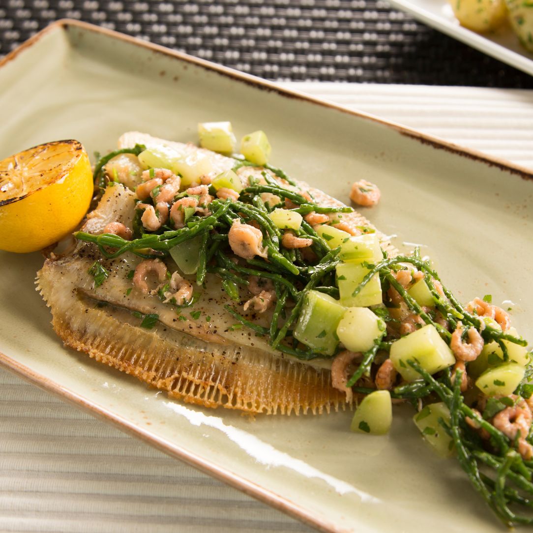 Wild Lemon Sole on a slate background, from Hamiltons Fish