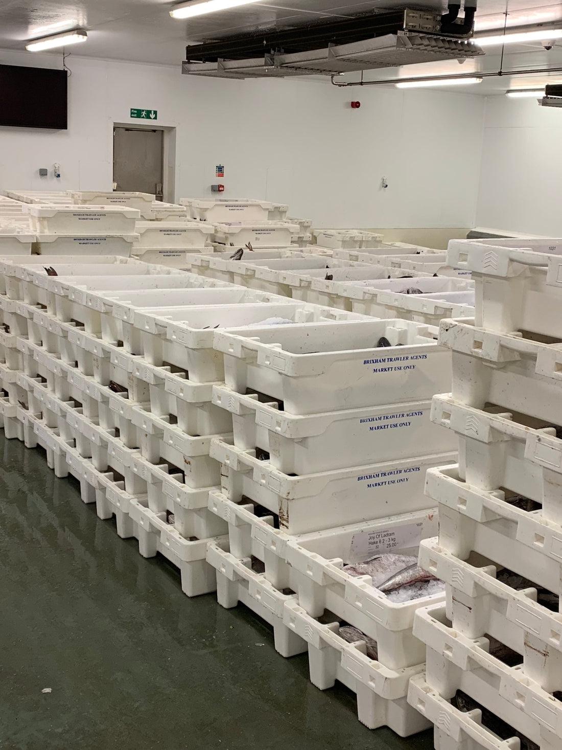 brixham fish box delivery Catch of the Day Regular Box (10 portions) Brixham Fish Market Fresh