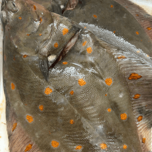 Is Fresh Fish Ever Frozen? Understanding Seafood Labels - Hamiltons Fish