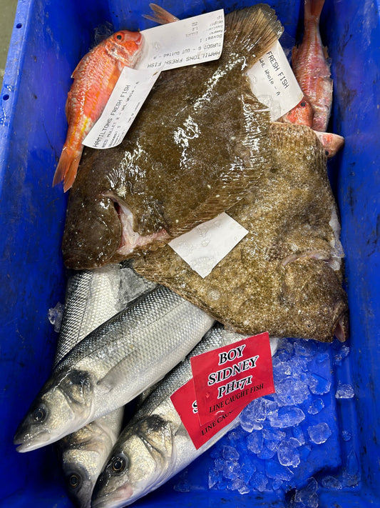 What Does ‘Sourced to Order’ Really Mean? - Hamiltons Fish