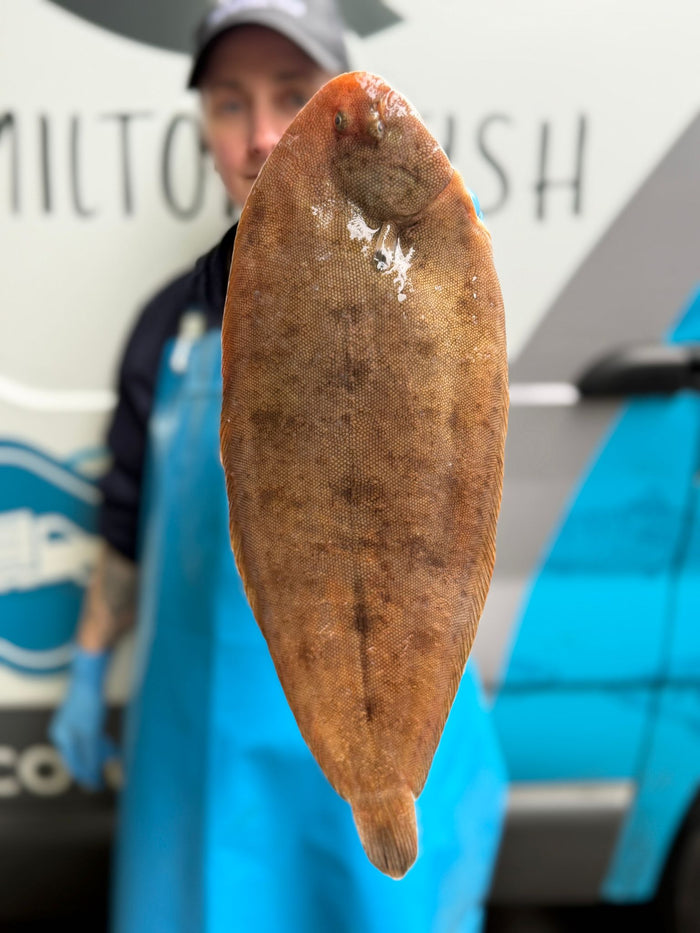 What Is Dover Sole? A Guide to Cooking the King of Soles - Hamiltons Fish