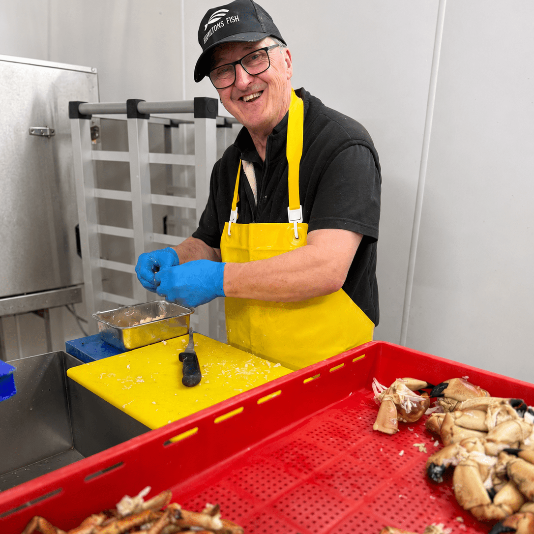 What Is Dressed Crab? A Guide to Brown and White Crab Meat - Hamiltons Fish