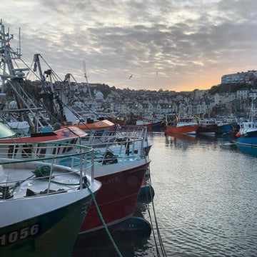 Brixham Fish | Hamiltons Fish | Fresh from the South Coast
