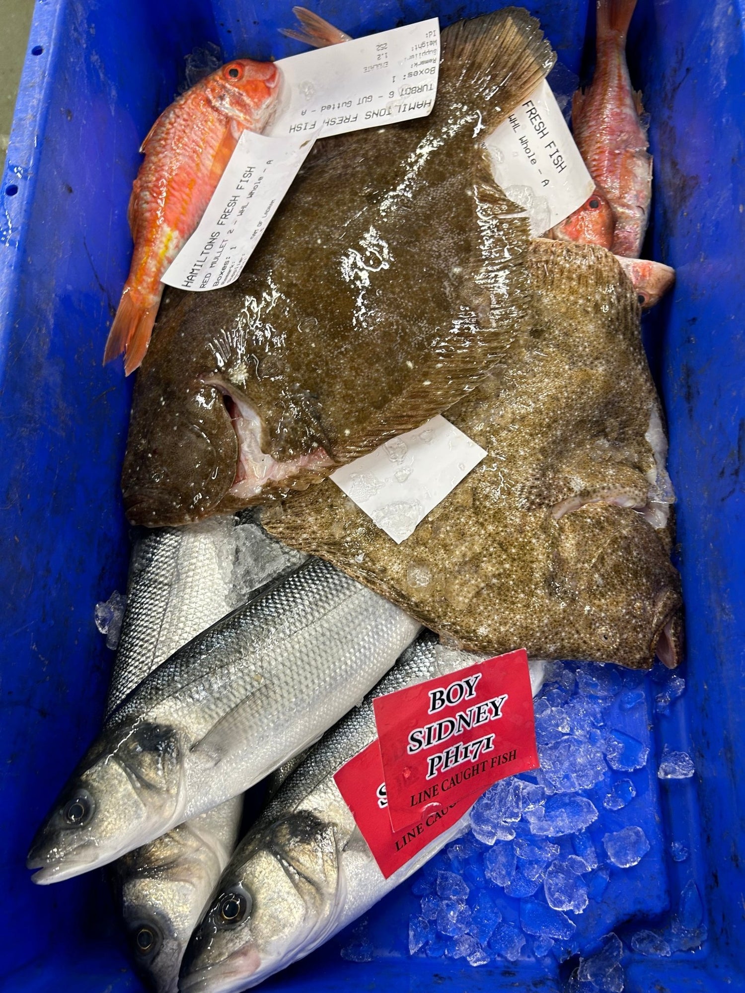 South West Range - Hamiltons Fish