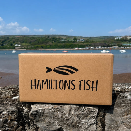 Cardboard box with 'Hamiltons Fish' logo on a stone wall by a waterfront