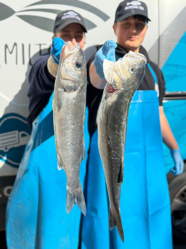 Two people holding a bass fish each, with a vehicle in the background