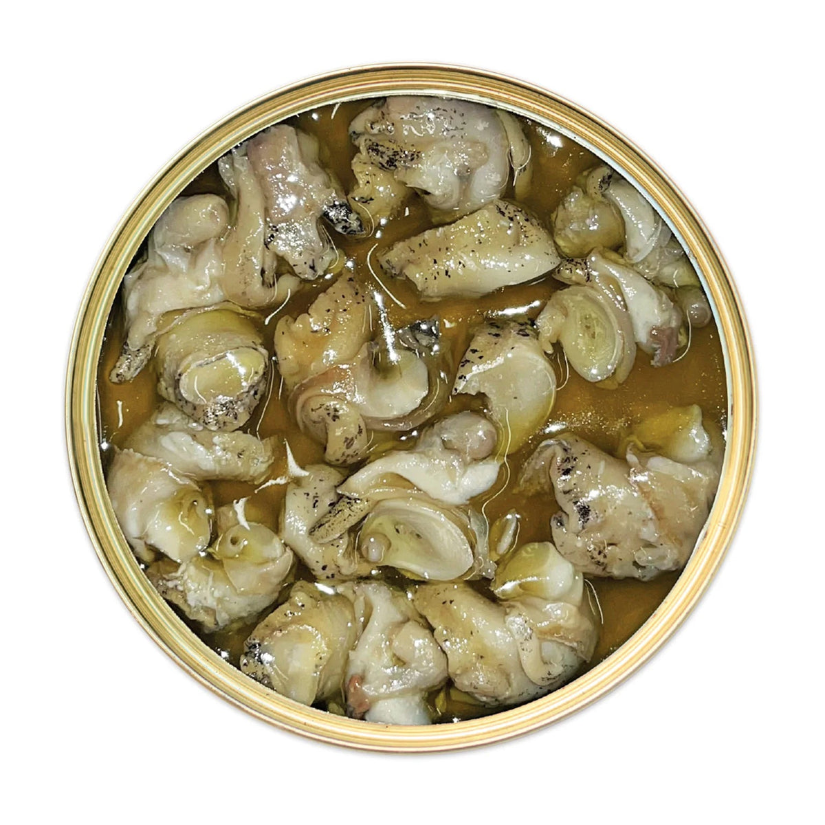 Can of whelks in a brine on a white background