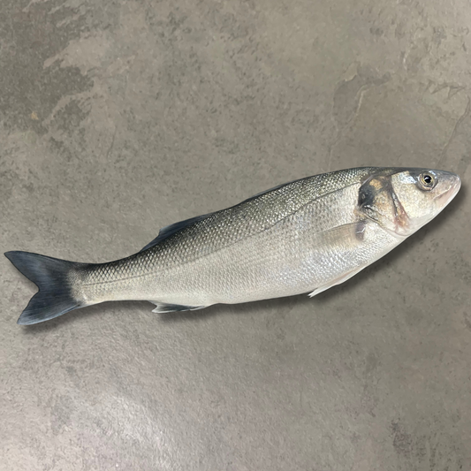Fresh Wild Bass