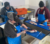 Flat Fish Filleting Class
