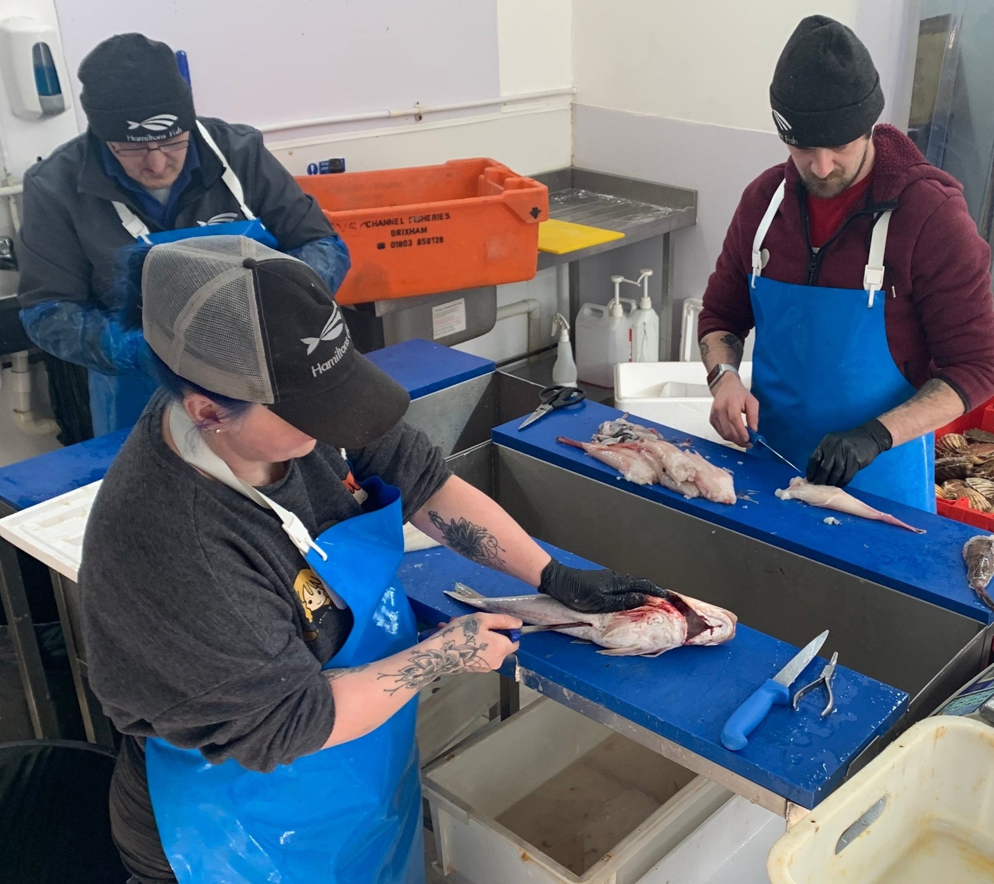 Advanced Filleting Masterclass on a slate background, from Hamiltons Fish
