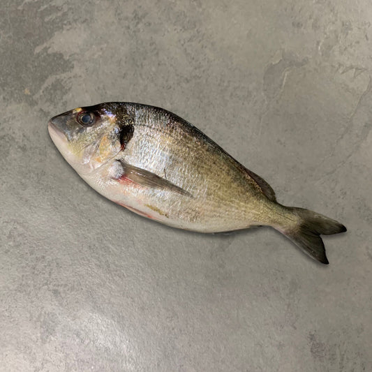 Farmed Seabream on a slate background, from Hamiltons Fish