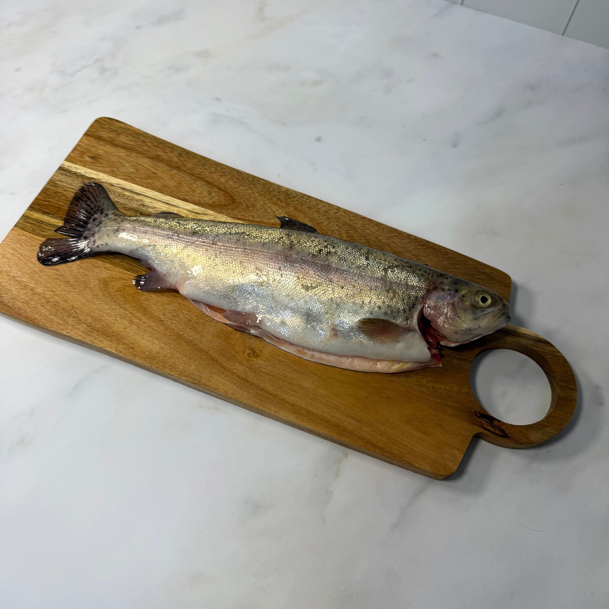 Fresh Farmed Rainbow Trout on a slate background, from Hamiltons Fish