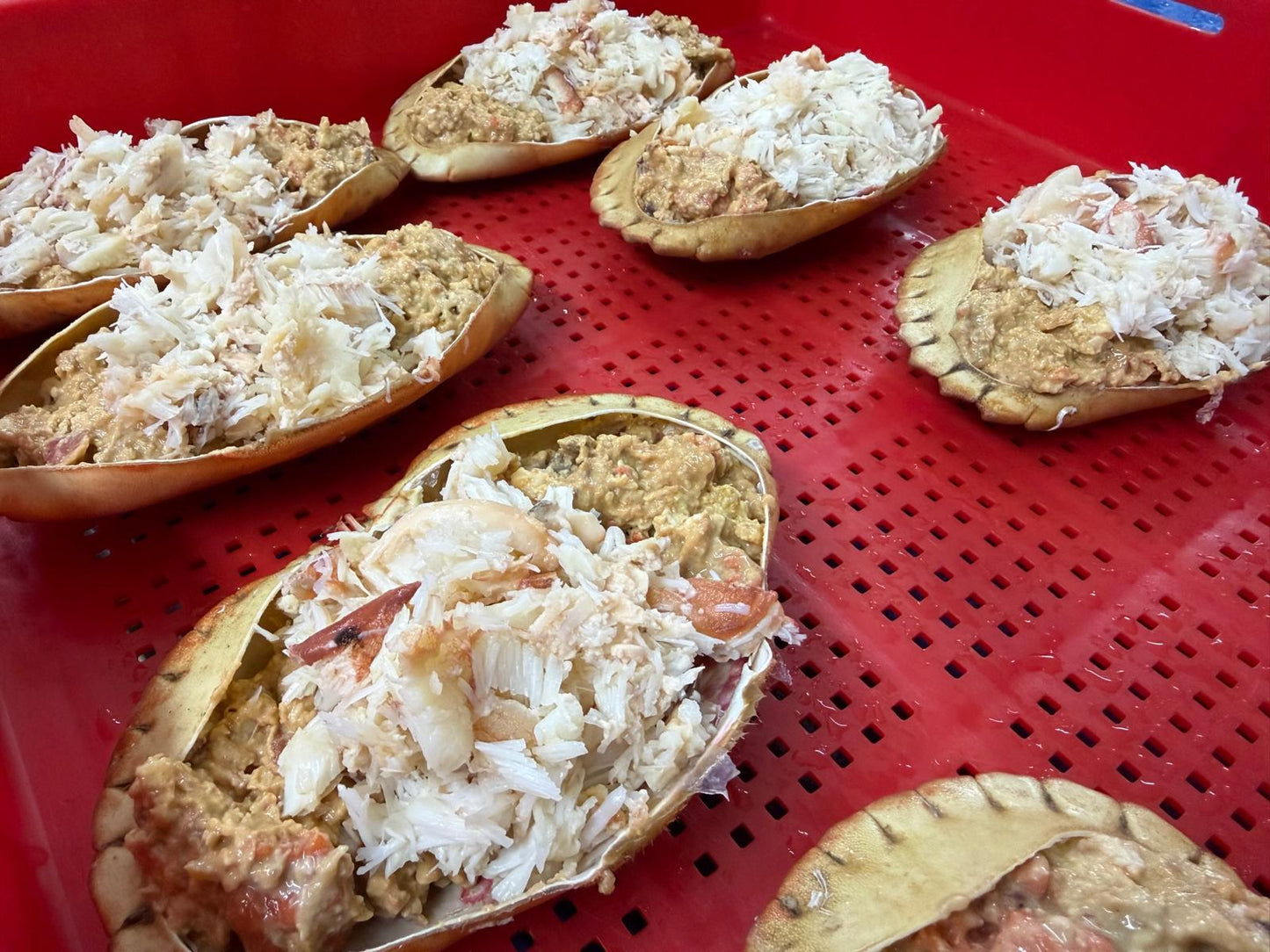 Fresh Handpicked Dressed Crab on a slate background, from Hamiltons Fish