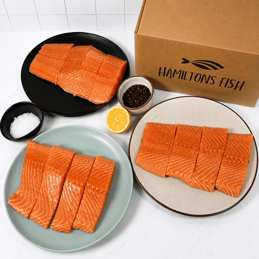 brixham fish box delivery Catch of the day Fish Boxes | Hamiltons Fish