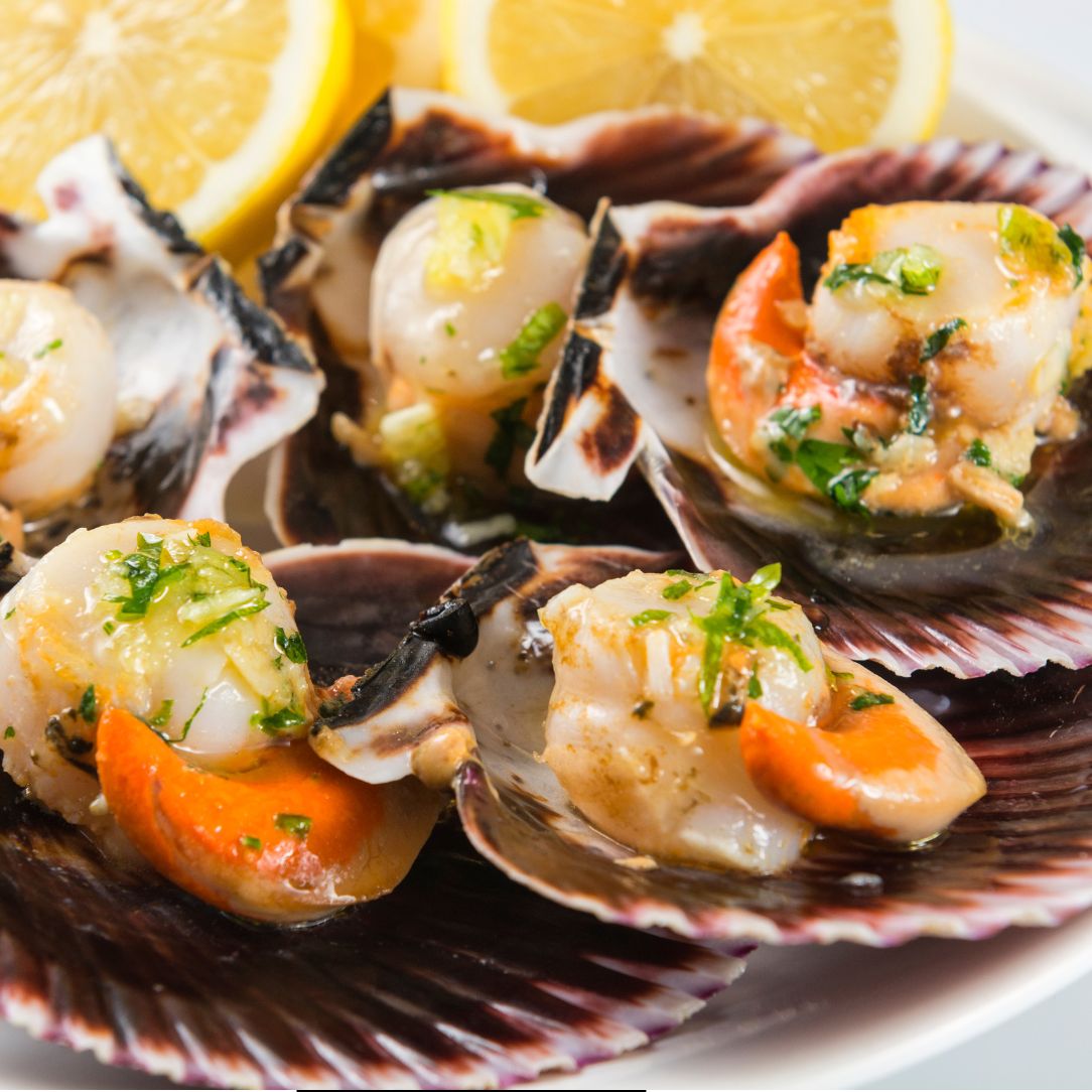 Fresh Scallops on a slate background, from Hamiltons Fish
