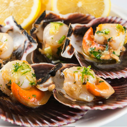 Fresh Scallops on a slate background, from Hamiltons Fish