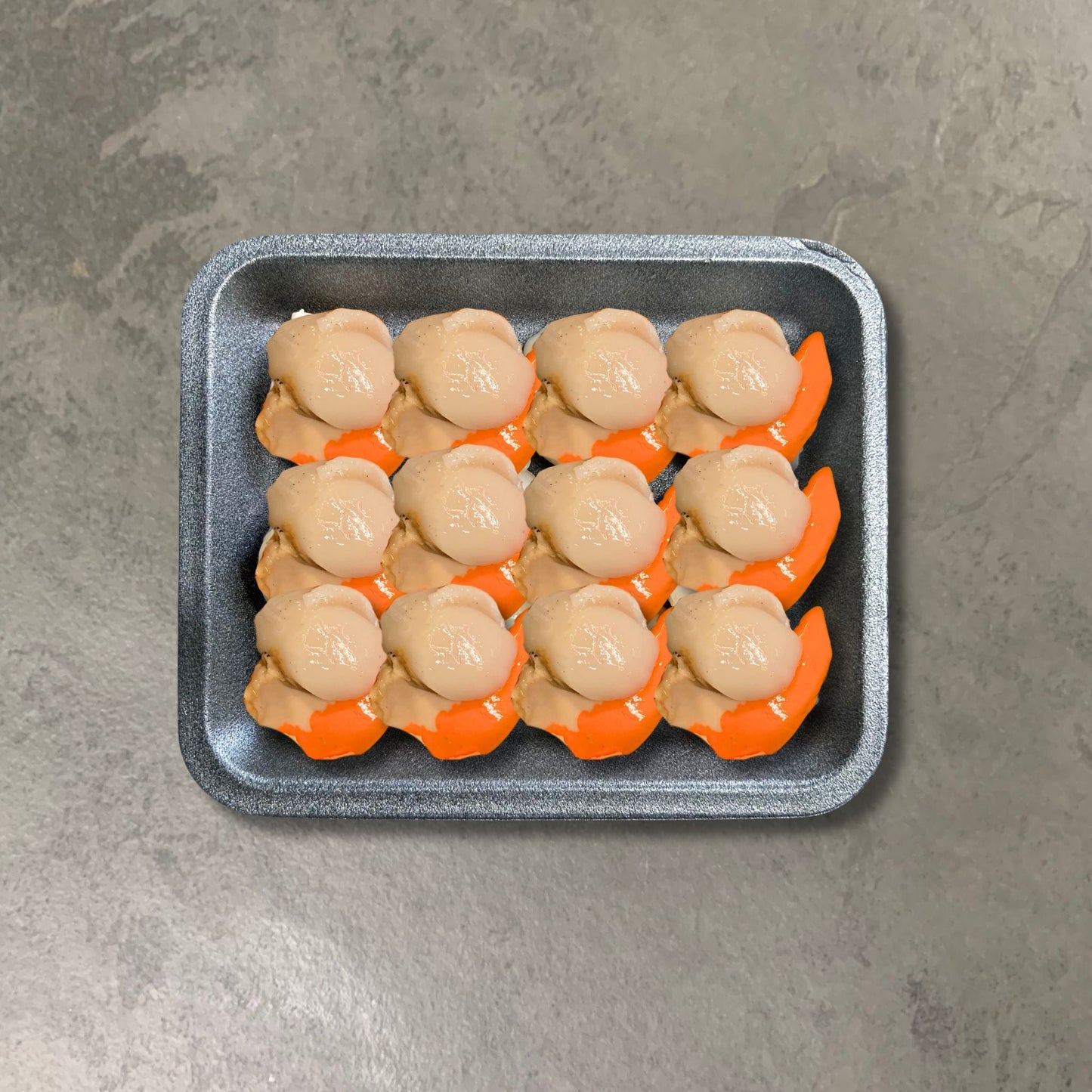 Fresh Scallops on a slate background, from Hamiltons Fish
