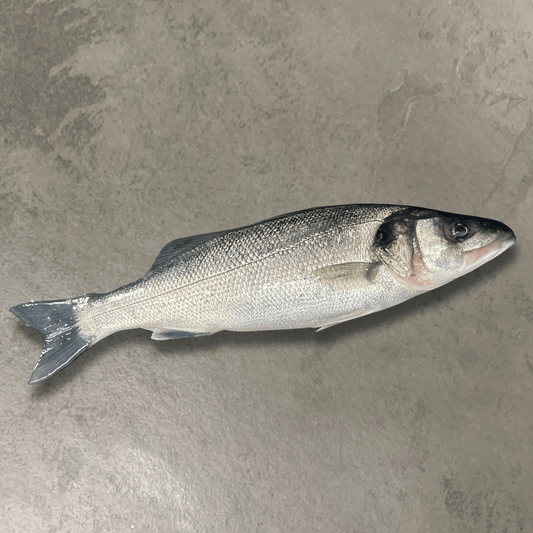 Fresh Wild Bass on a slate background, from Hamiltons Fish