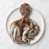 Fresh Wild Octopus