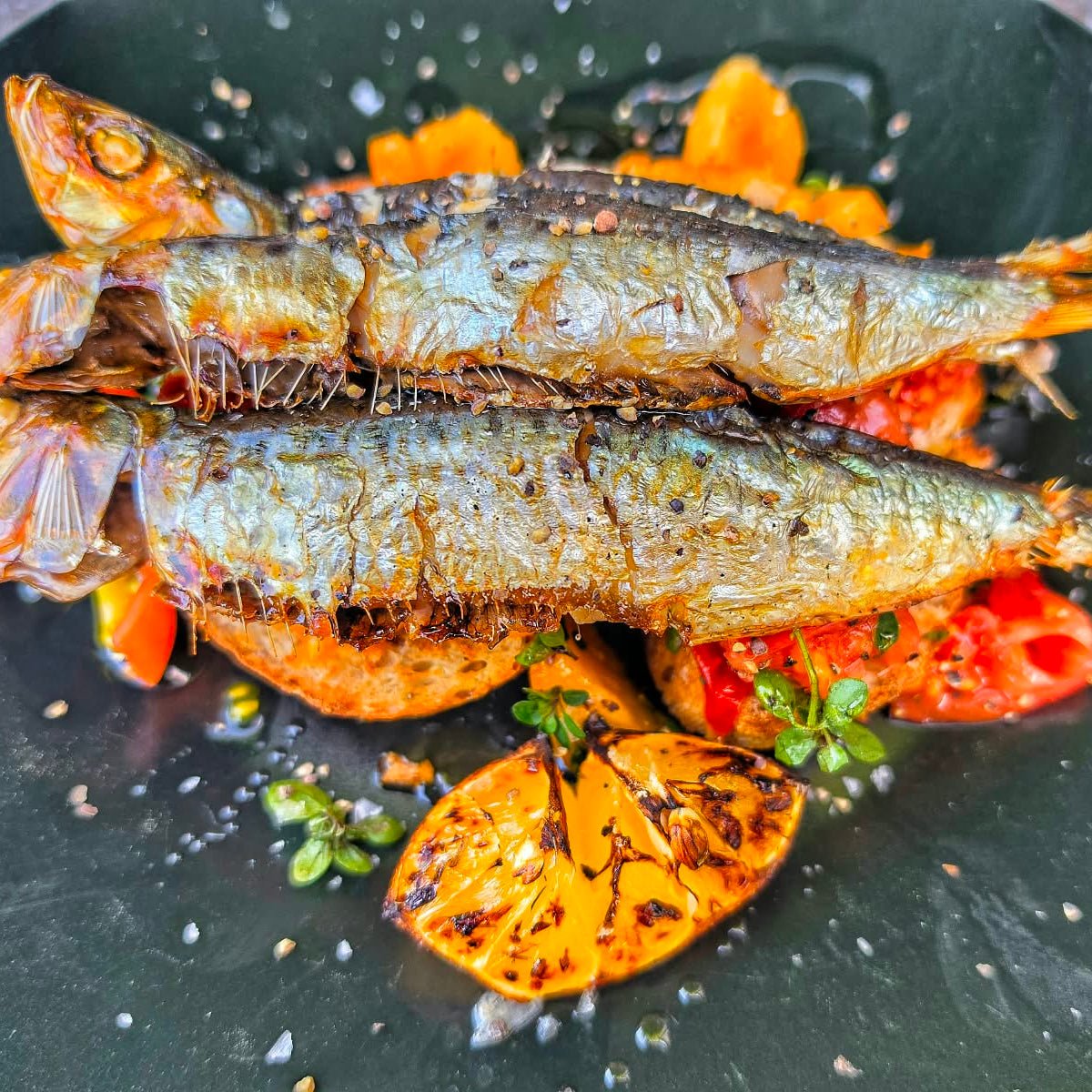 Fresh Wild Sardines on a slate background, from Hamiltons Fish