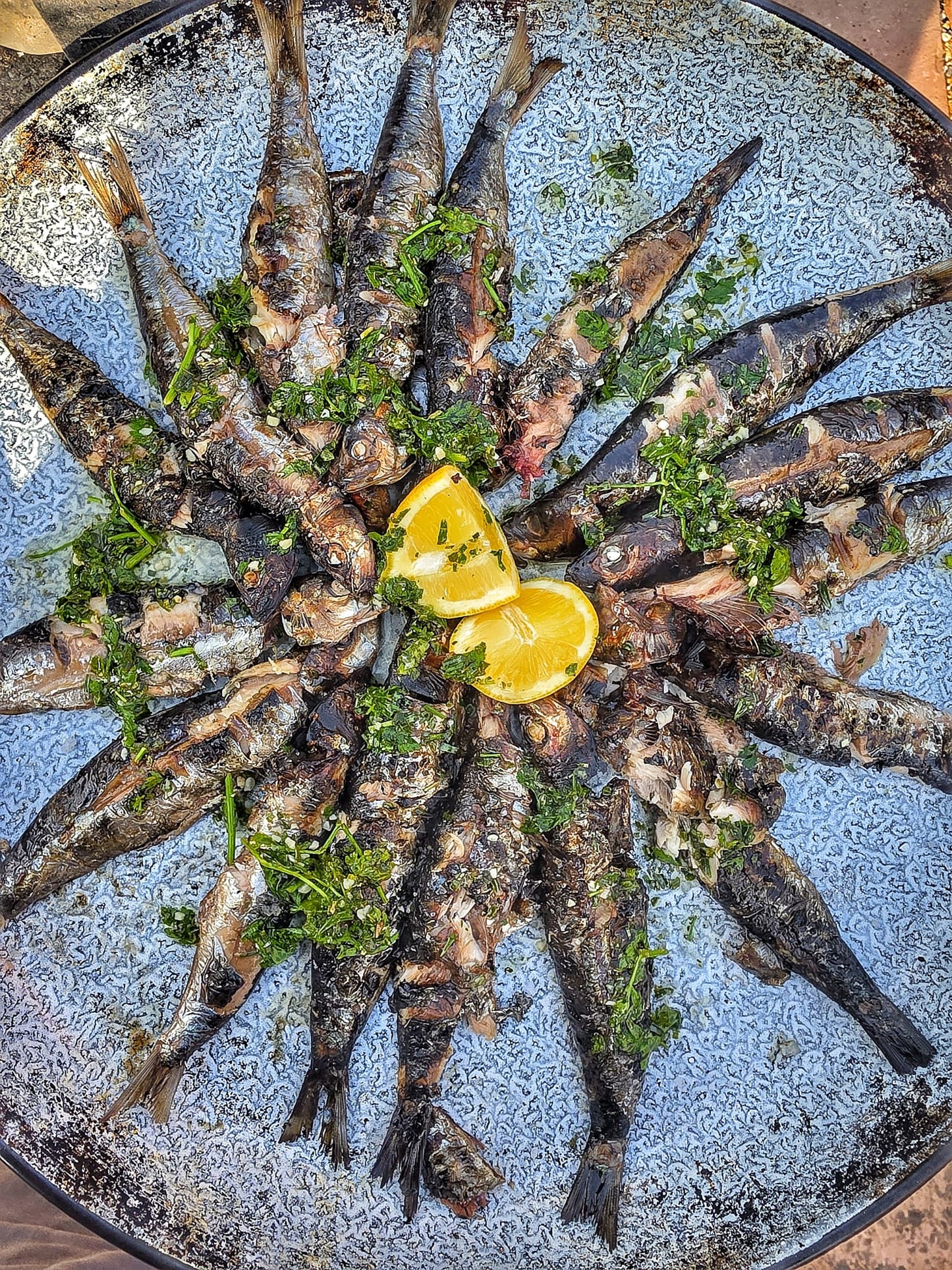Fresh Wild Sardines on a slate background, from Hamiltons Fish