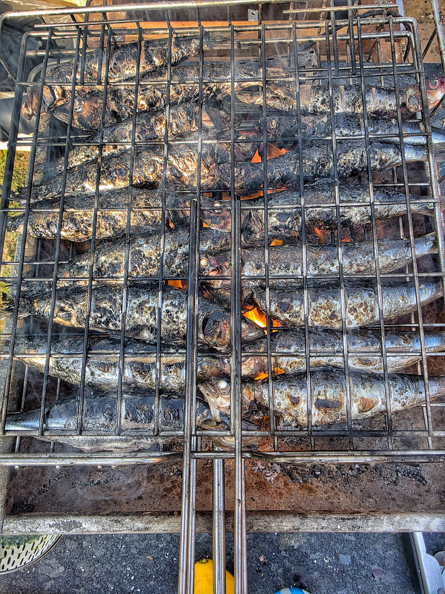 Fresh Wild Sardines on a slate background, from Hamiltons Fish