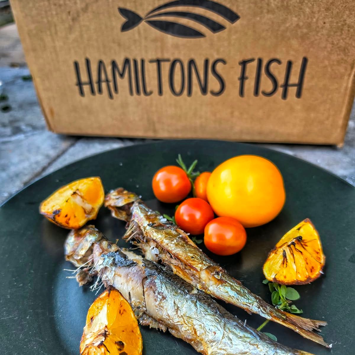 Fresh Wild Sardines on a slate background, from Hamiltons Fish