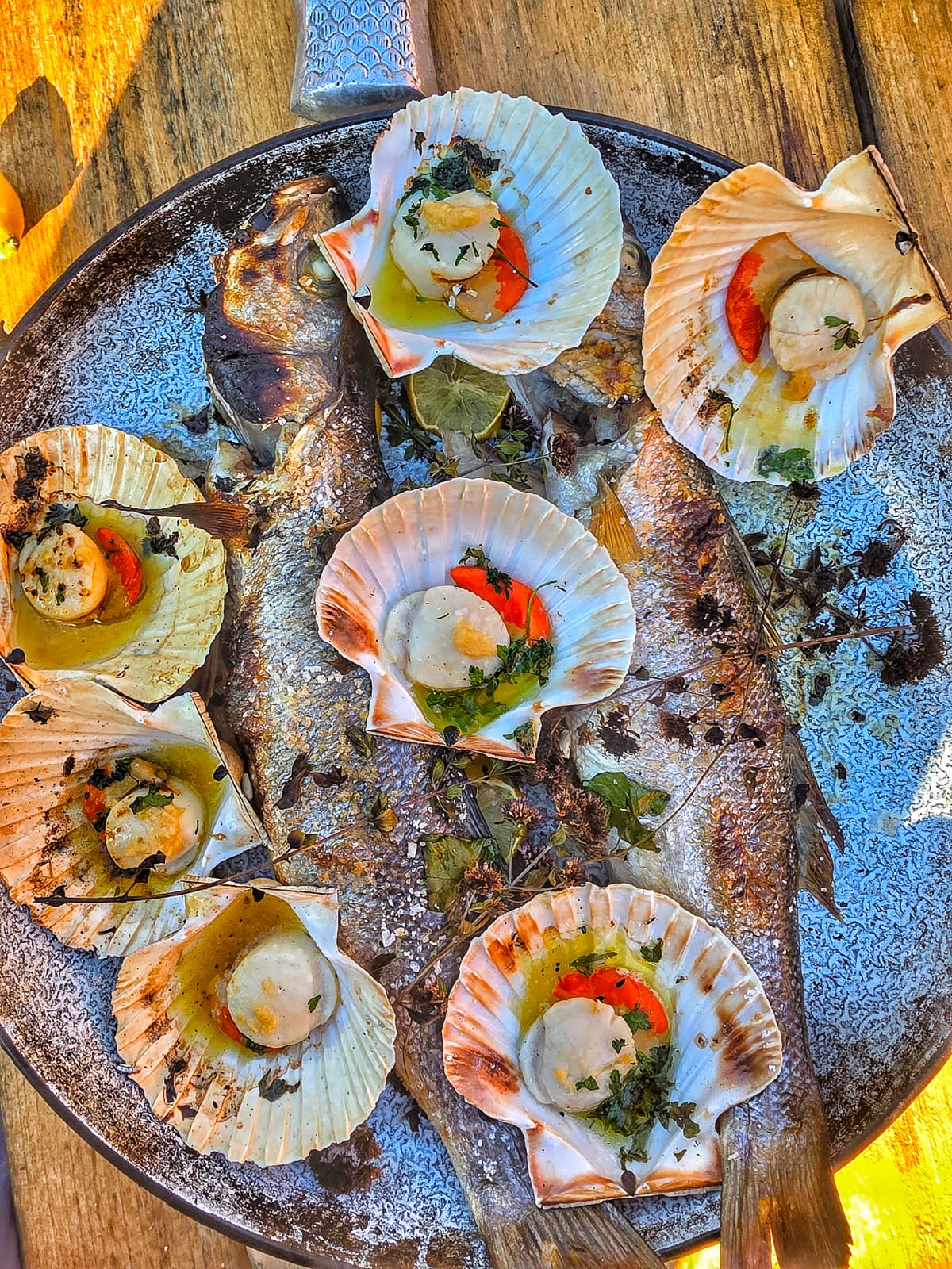 Fresh Wild Scallops in the Half Shell on a slate background, from Hamiltons Fish