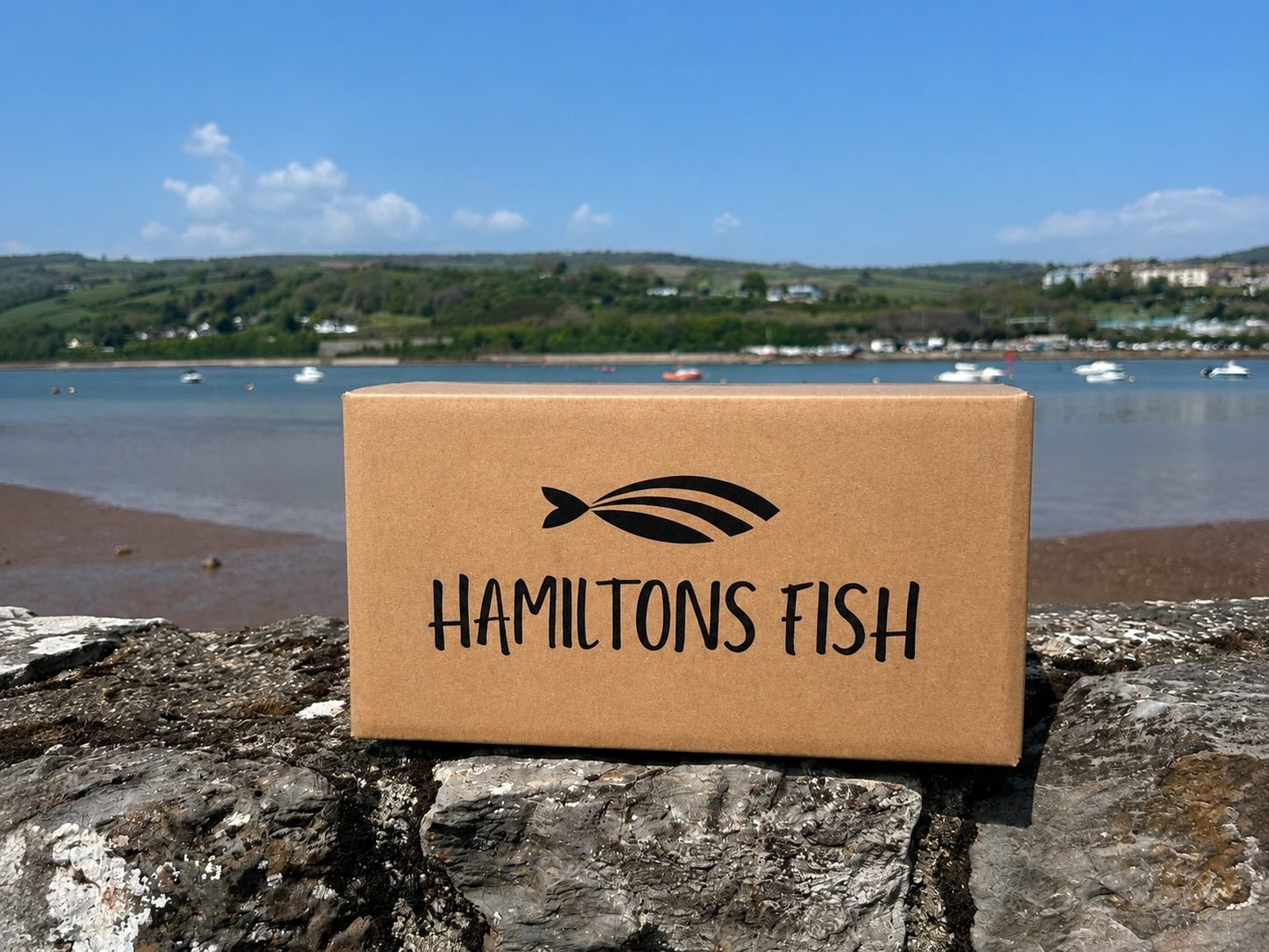 Fresh Wild Skate Wings on a slate background, from Hamiltons Fish