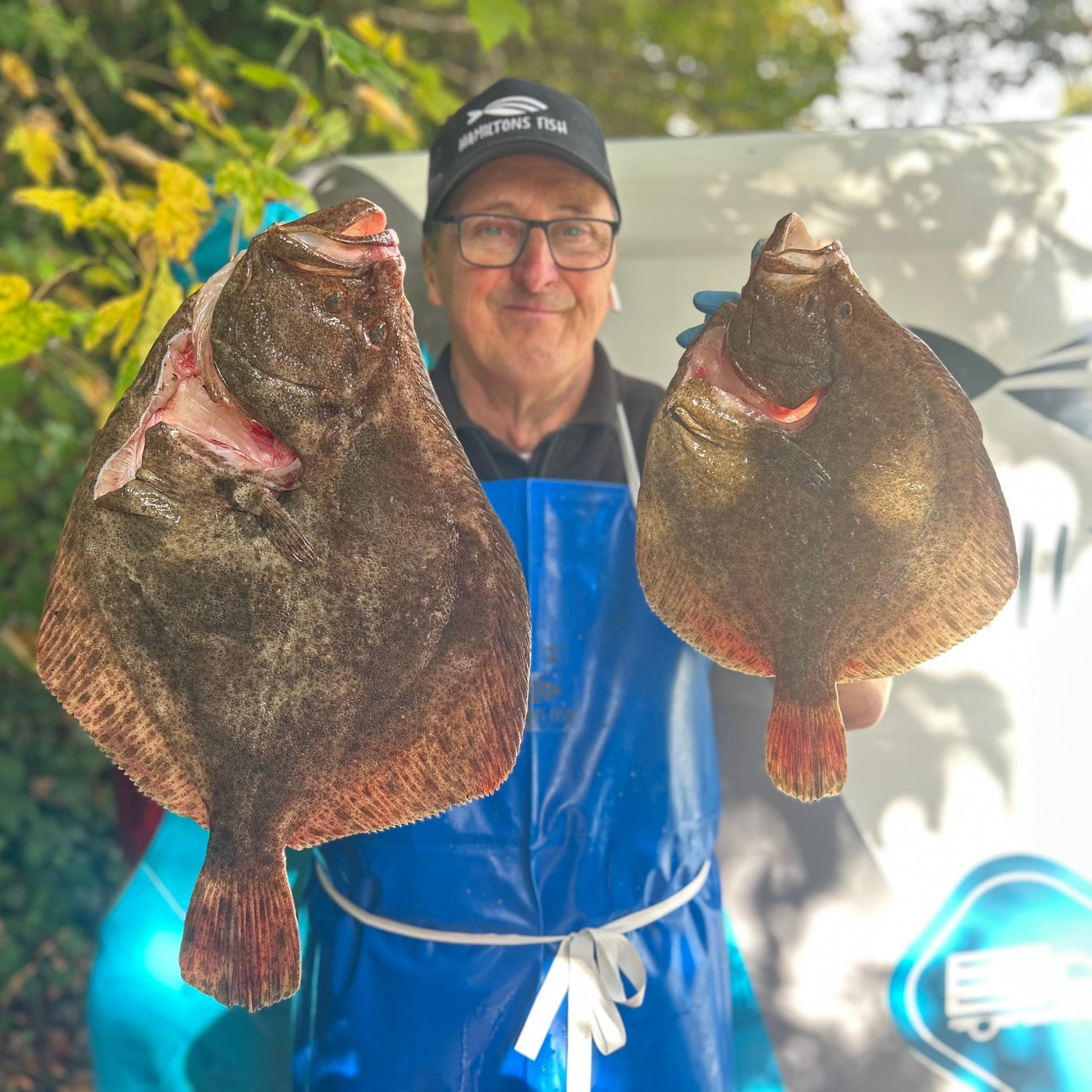 Fresh Wild Turbot on a slate background, from Hamiltons Fish