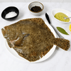 Fresh Wild Turbot
