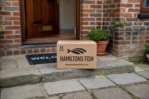 Wild Huss | Fresh Rock Salmon from Brixham | Hamiltons Fish