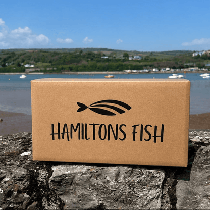Brixham Fillet Box – 20 Fresh Portions