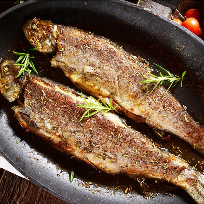 Rainbow Trout on a slate background, from Hamiltons Fish