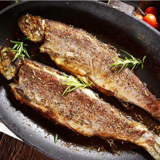 Rainbow Trout on a slate background, from Hamiltons Fish