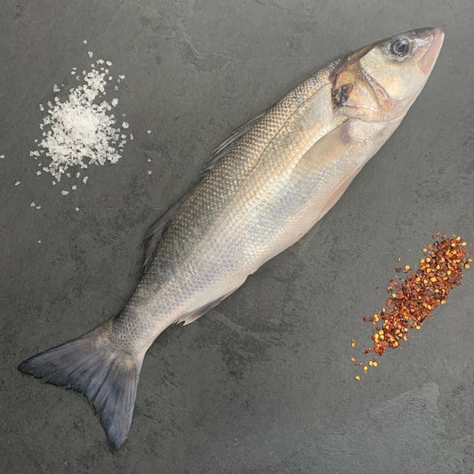 Wild Bass on a slate background, from Hamiltons Fish