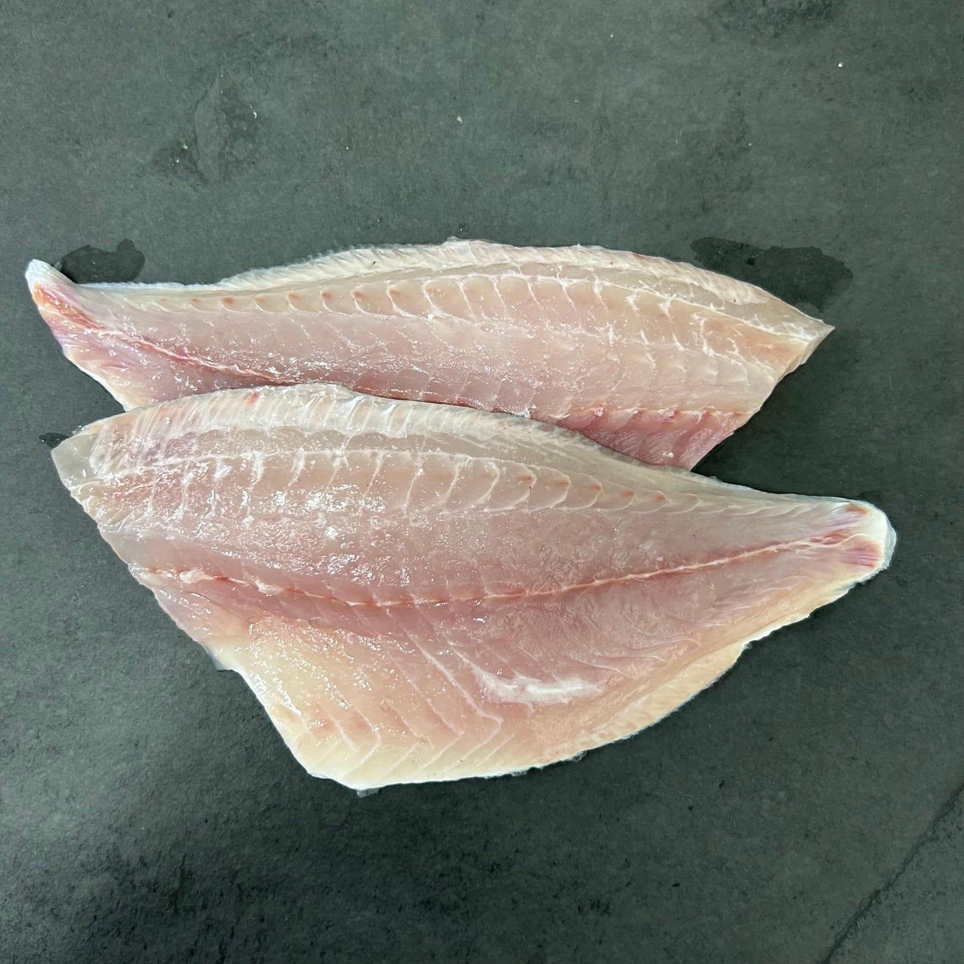 Wild Black Bream on a slate background, from Hamiltons Fish