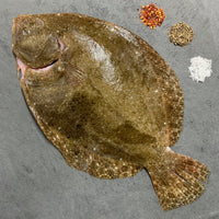Fresh Wild Brill
