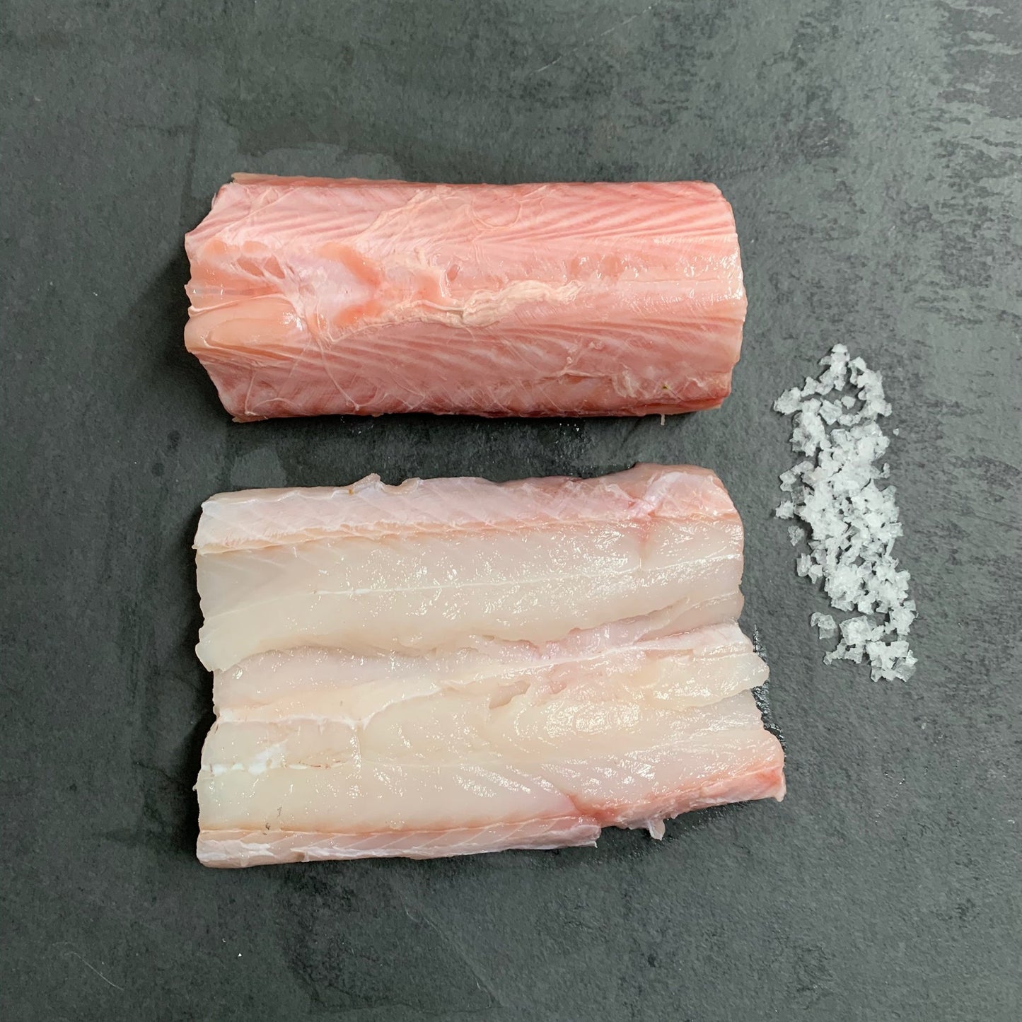 Wild Huss on a slate background, from Hamiltons Fish