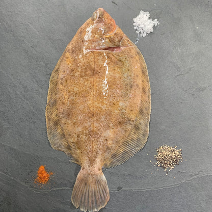 Wild Lemon Sole on a slate background, from Hamiltons Fish