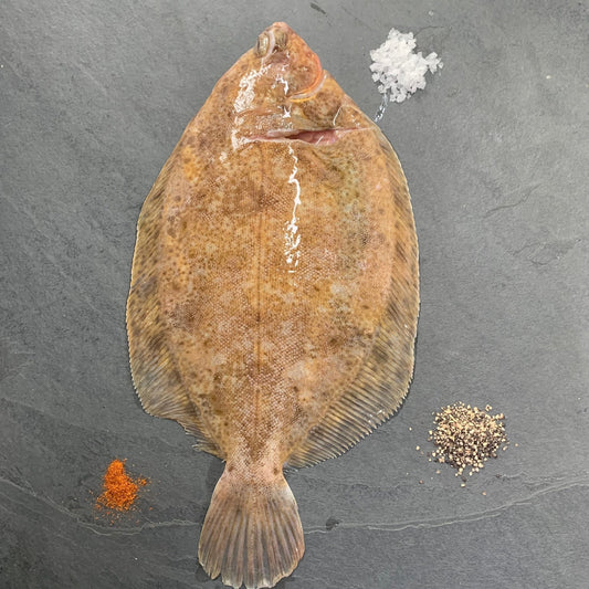 Wild Lemon Sole on a slate background, from Hamiltons Fish